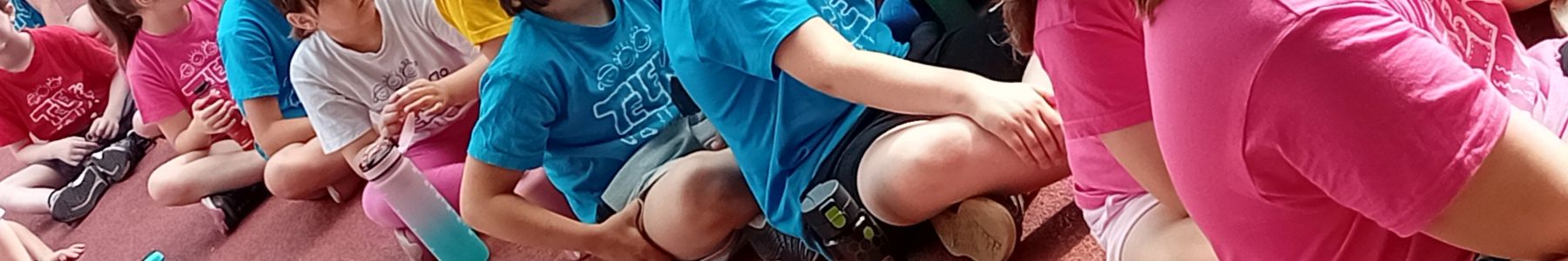 Újbudai Teleki Blanka Általános Iskola